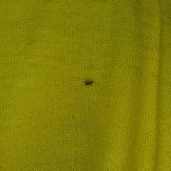 Jeff Gordan 24 Hendrick Motorsports Race Car Yellow T-Shirt, Double Sided - Picture 13 of 16